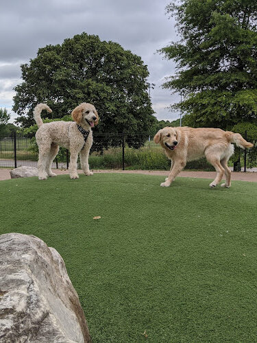 Patterson Dog Park