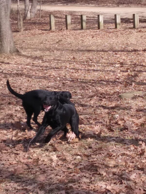 Geeck Rd. County Park