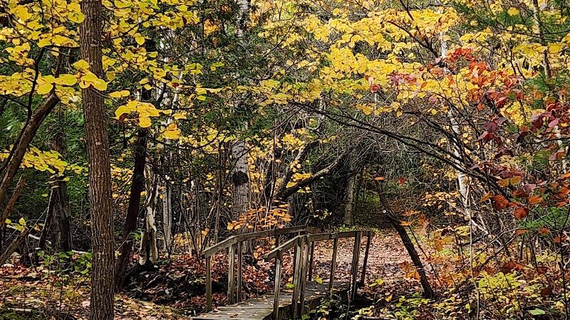 Bangor Dog Park - Bangor,