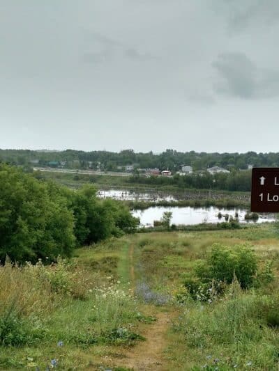 Bangor Dog Park - Bangor,