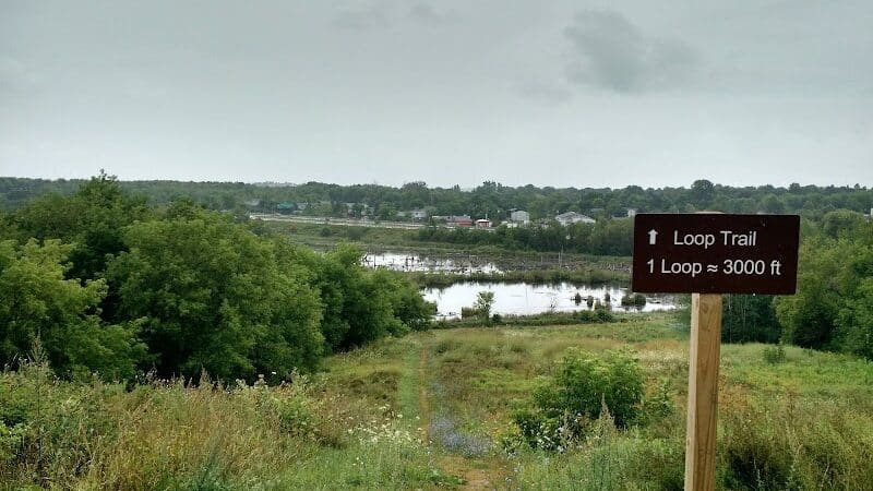 Bangor Dog Park - Bangor,