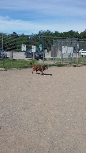 Bangor Dog Park
