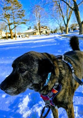 Fairmount Park