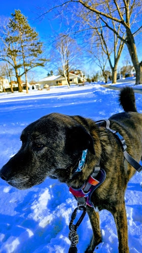 Fairmount Park