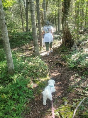 Parking for Bangor City Forest and Orono Bog Walk