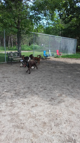 Bangor Dog Park