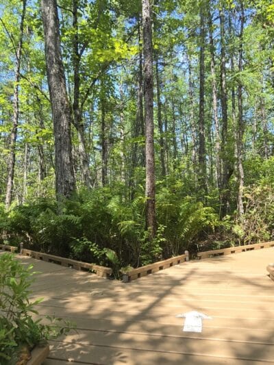 Parking for Bangor City Forest and Orono Bog Walk - Bangor, ME