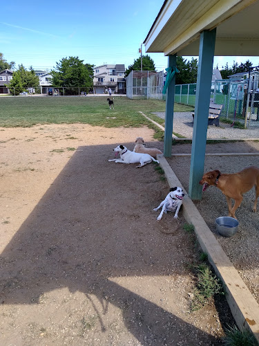 Barnegat Light Dog Park