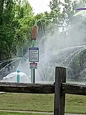 Fuller Park