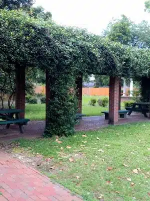 Collins Park