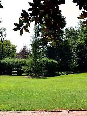 Collins Park