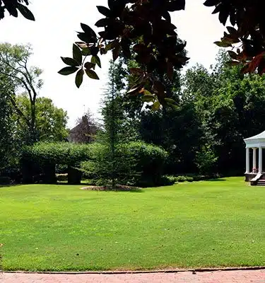Collins Park