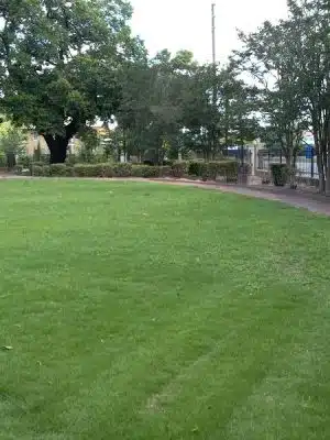 Collins Park