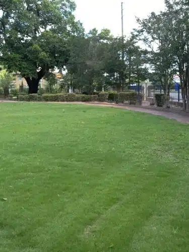Collins Park