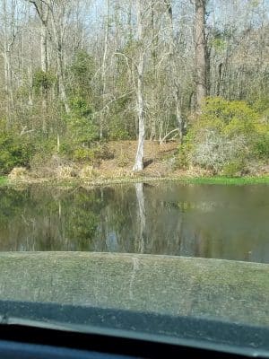 Veterans Memorial Park