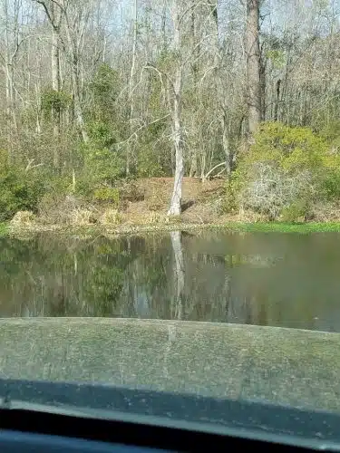 Veterans Memorial Park