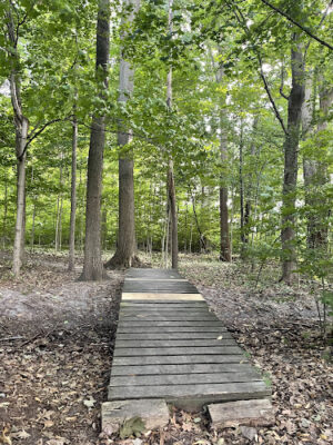 Baroda Township Park