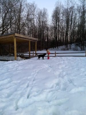 Dog Park