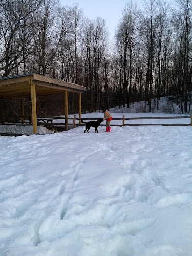 Dog Park