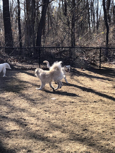 Barrington Dog Park