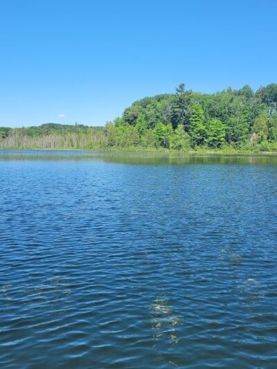 Merrill–Gorrel County Park - Barryton, MI
