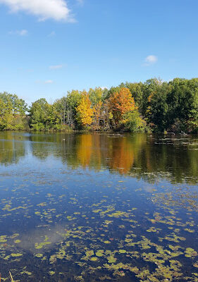 Sterns Park