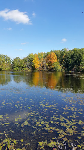 Sterns Park