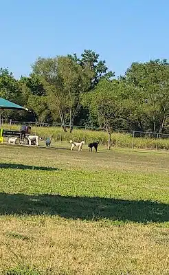 Cooper Dog Park