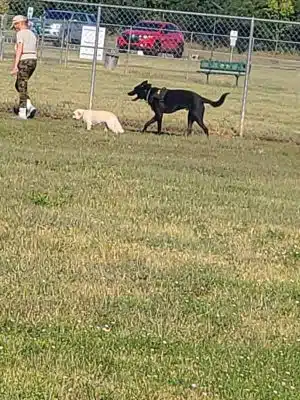 Cooper Dog Park