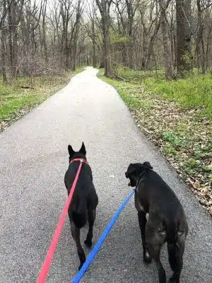 Cooper Dog Park