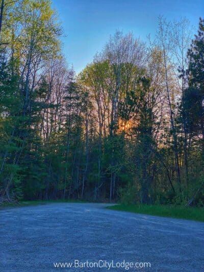 Reid Lake Foot Travel Area Trailhead - Barton City,