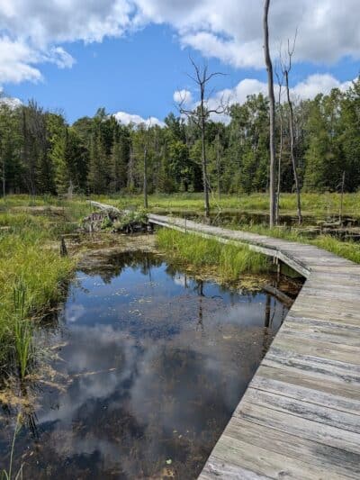 Reid Lake Foot Travel Area Trailhead - Barton City,