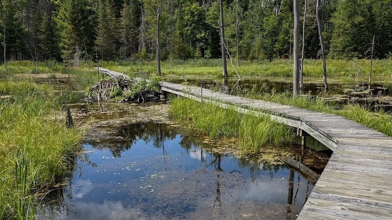 Reid Lake Foot Travel Area Trailhead - Barton City,