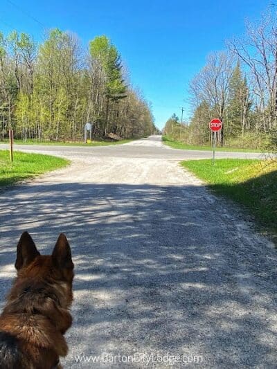 Reid Lake Foot Travel Area Trailhead - Barton City,