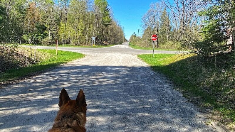 Reid Lake Foot Travel Area Trailhead - Barton City,