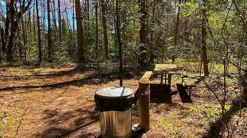 Reid Lake Foot Travel Area Trailhead - Barton City,