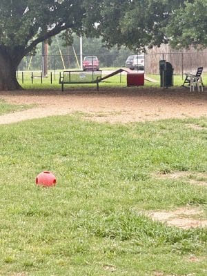 Bastrop Bark Park