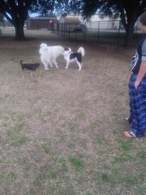 Bastrop Bark Park