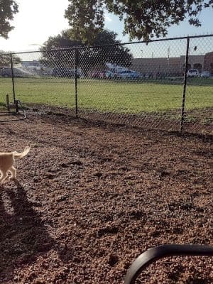 Bastrop Bark Park