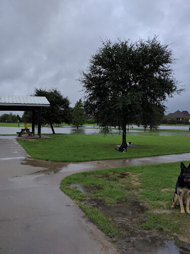 Dog Park at Burbank Park