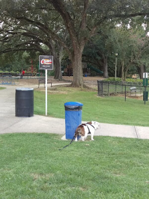 Raising Cane's Dog Park