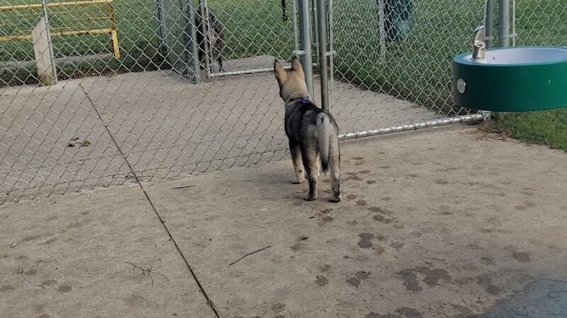 Home Run Dog Park - Battle Creek,