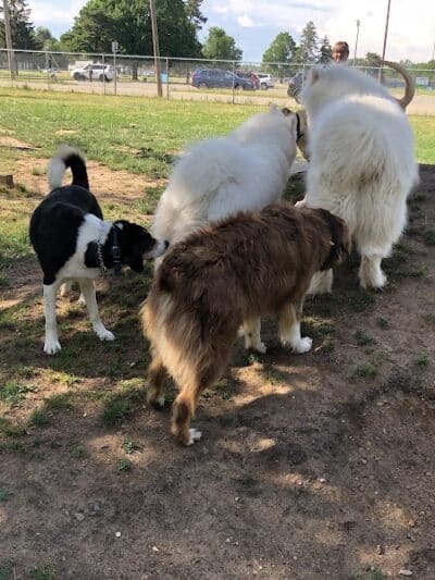 Home Run Dog Park - Battle Creek,