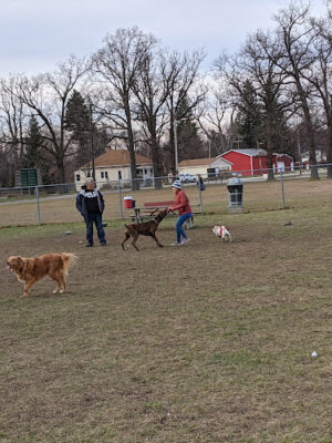 Bay County Dog Park