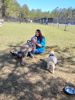 Bark Minette Dog Park