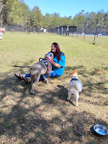 Bark Minette Dog Park