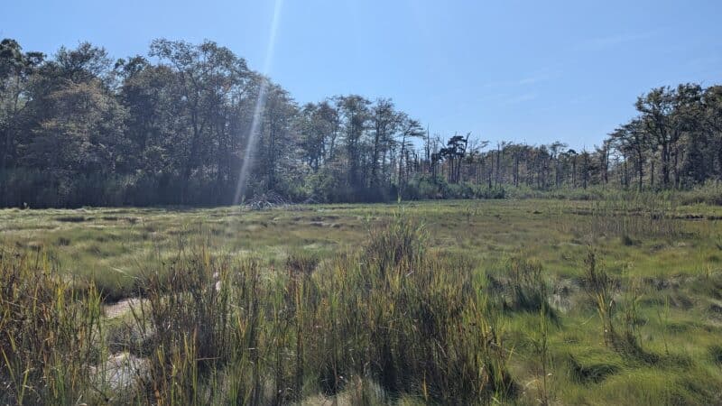 Gardiner County Park - Bay Shore, NY