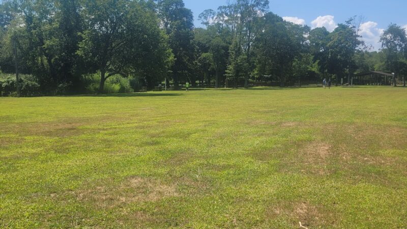 Gardiner County Park - Bay Shore, NY