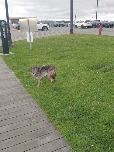 Bay Shore Manor Park