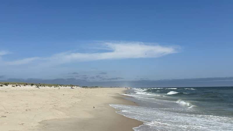 Robert Moses State Park Field 5 - Bay Shore, NY